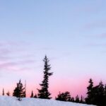 Benmar Above the Clouds Pinot Noir sunset treescape