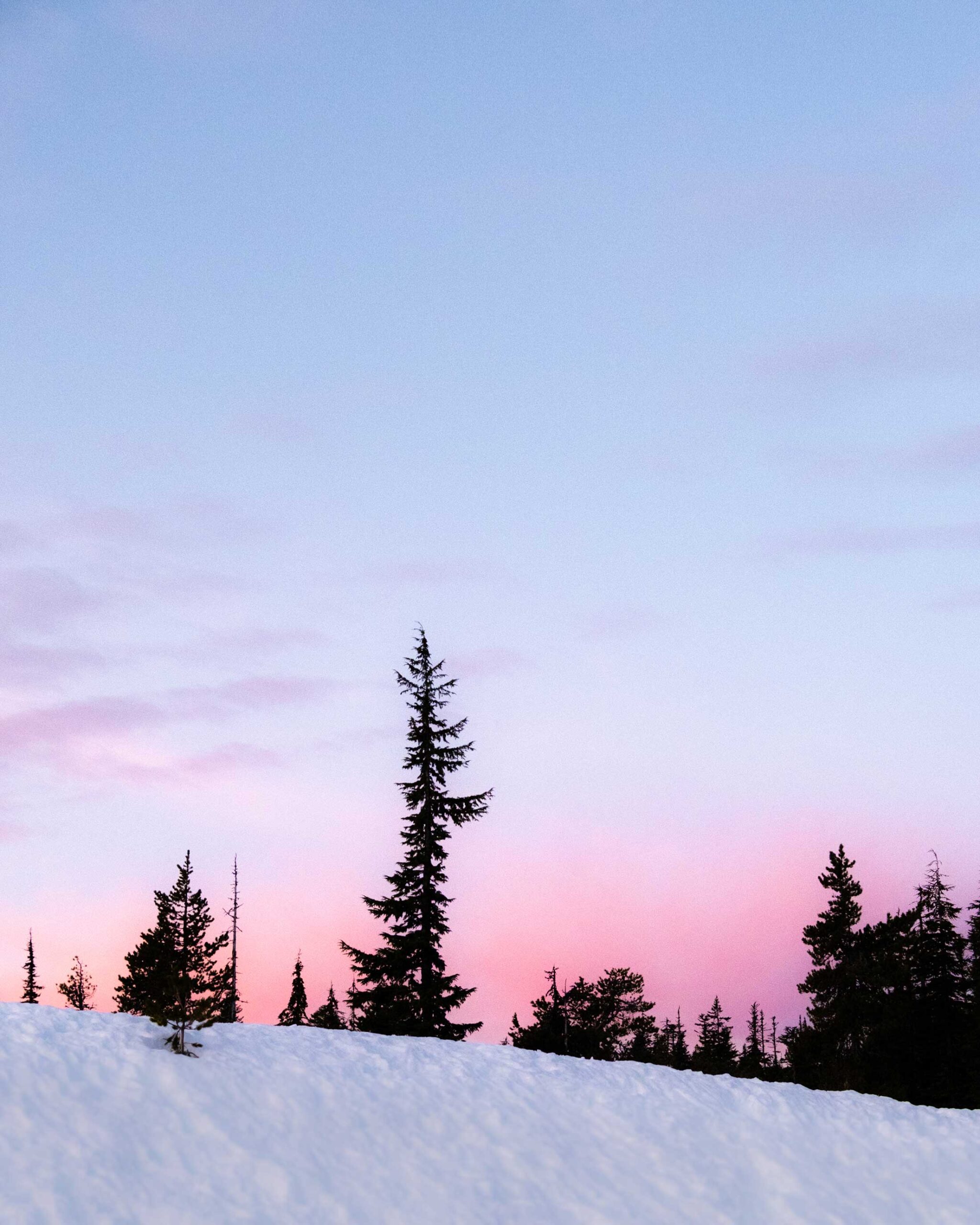 Benmar Above the Clouds Pinot Noir sunset treescape