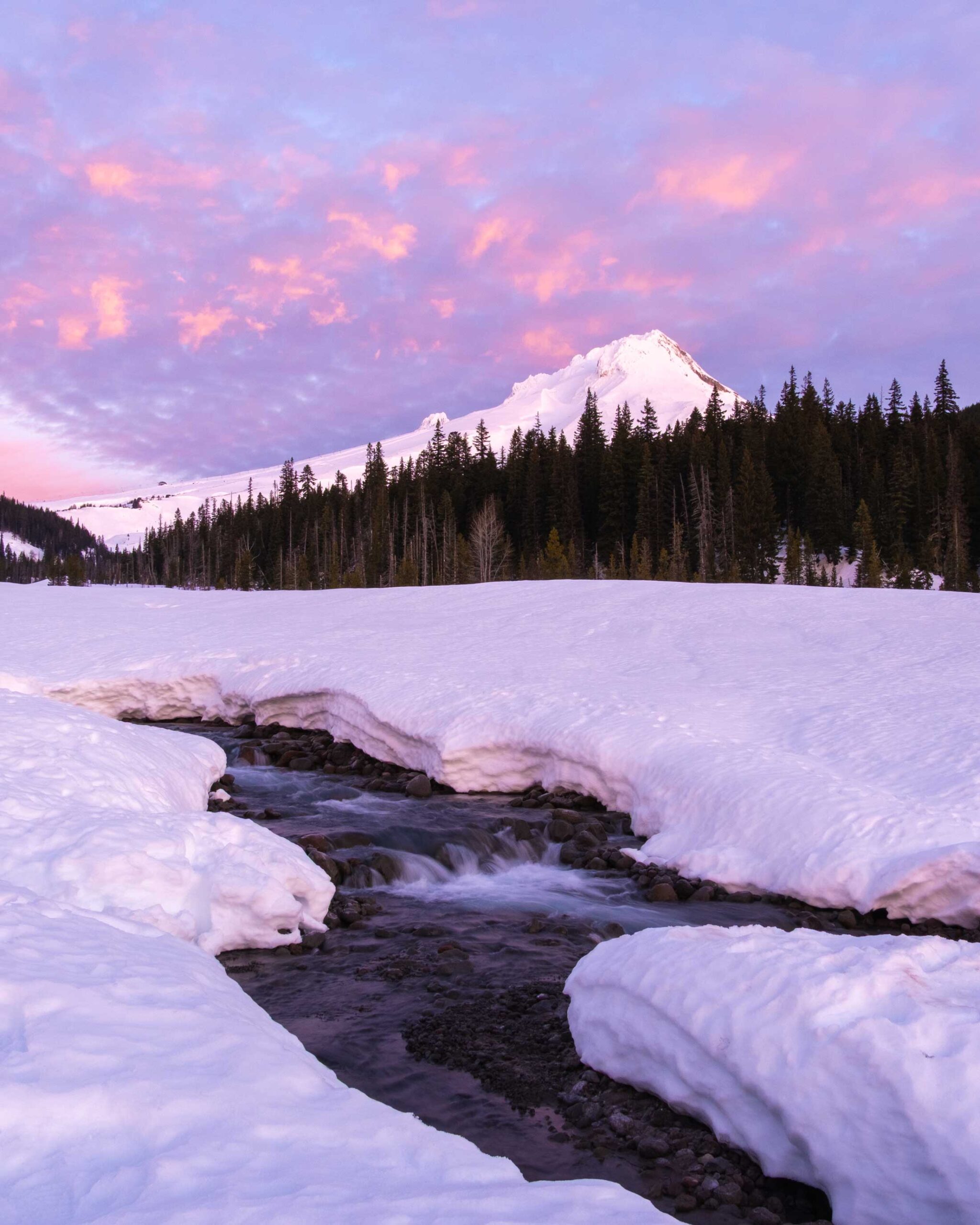 Benmar Above the Clouds Pinot Noir sunset mountain with trees