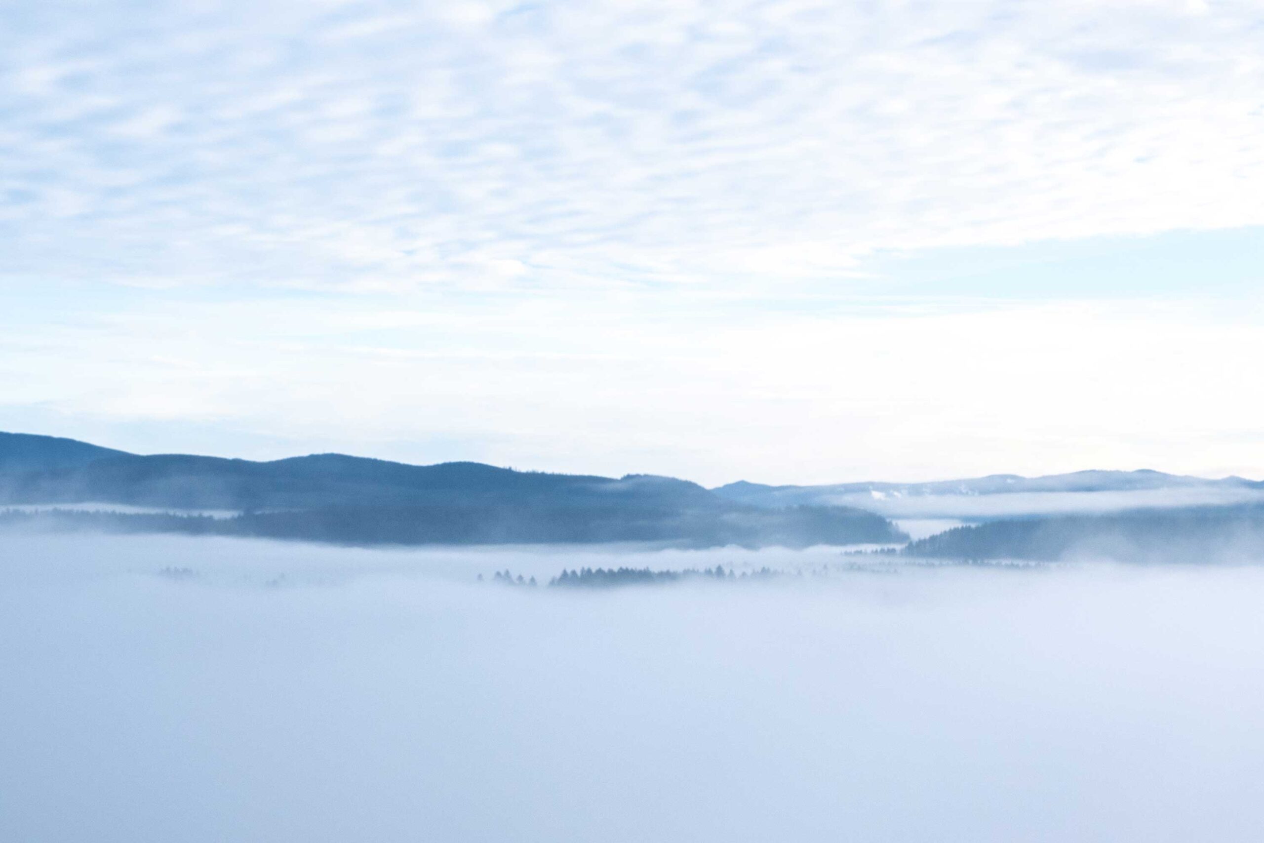 Benmar Above the Clouds Pinot Noir the clouds
