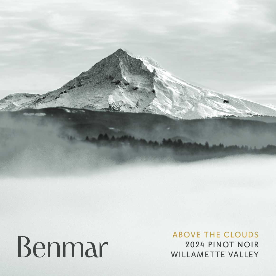 Benmar Above the Clouds 2024 Mt Hood snow covered with misty clouds
